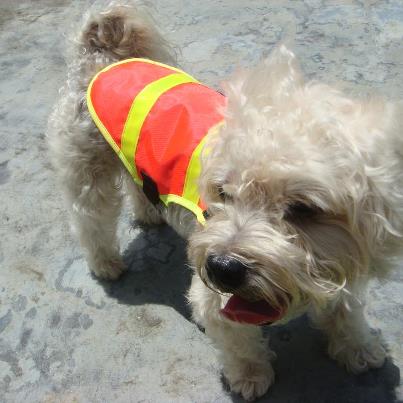 High Visibility Jacket