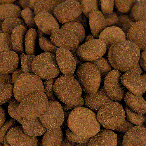 Dry Kibbles 