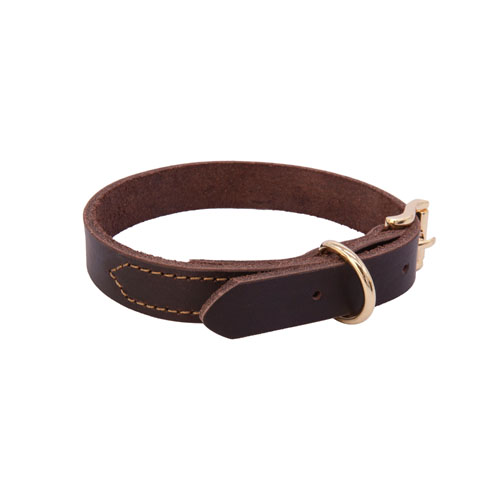 Leather dog collar