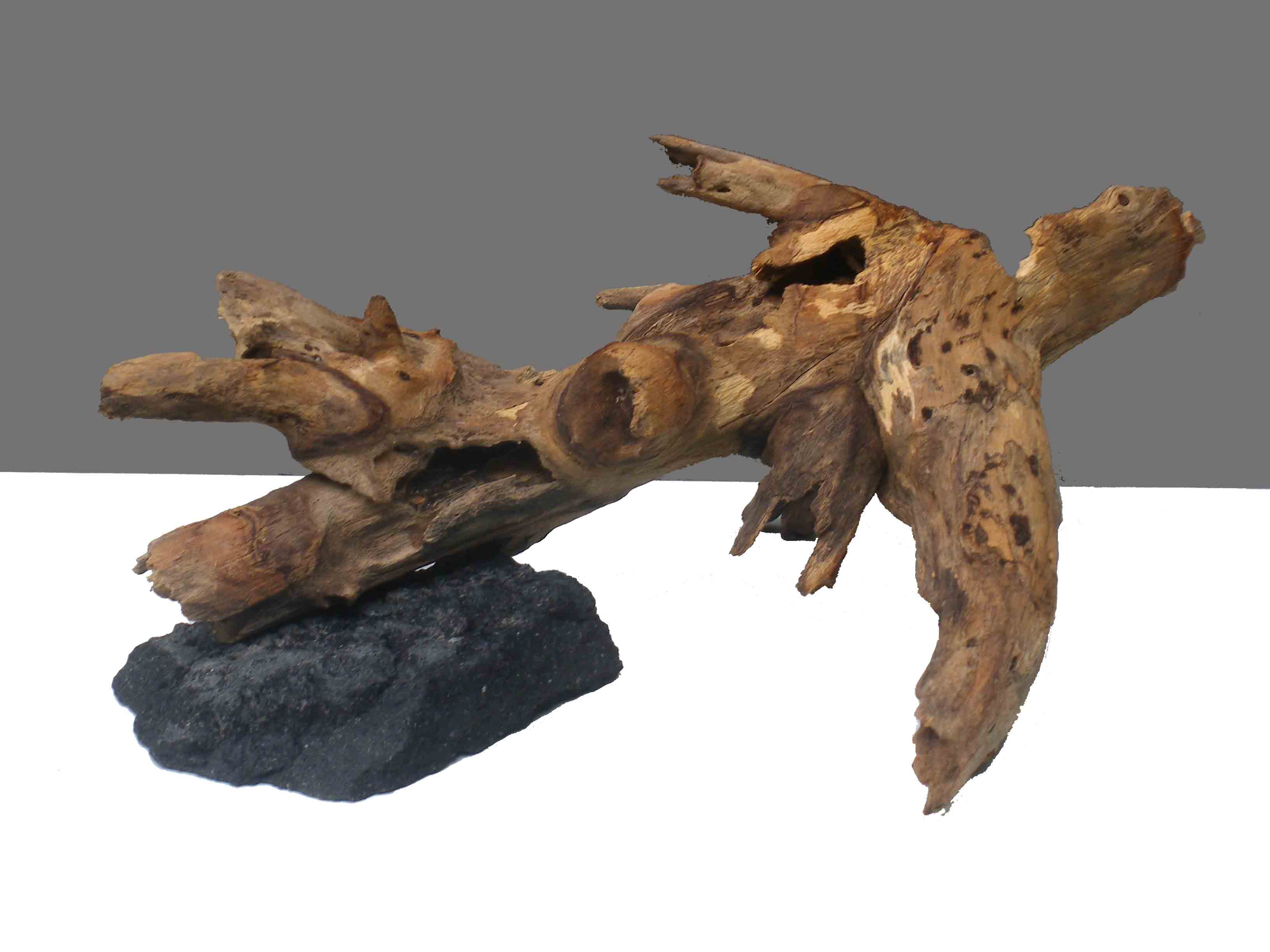 Driftwood on rock